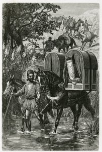 Kadjaveh till frun till en rosenvattenhandlare av Adrien Emmanuel Marie