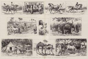 Den stora elefant- och hästmässan i Sonepur, Bengal