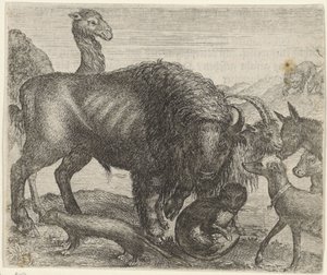 Fabel om bisonen och de andra djuren
