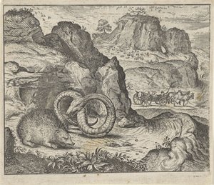 Fabel om igelkotten och ormen