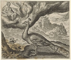 Fabel om påfågeln och näktergalen av Egidius  Sadeler (II)