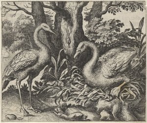 Fabel om Svanen och Storken