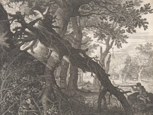En skog med en kaninjakt,.n.d.
