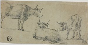 Tre skisser av kor av Aelbert Cuyp