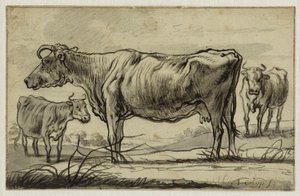 Tre kor på bete (Lugt 16) av Aelbert Cuyp