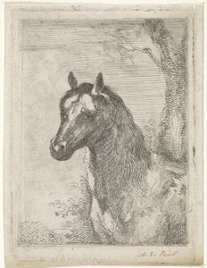 Hästhuvud av Aert Schouman (signed by artist)