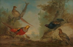 Fasaner av Aert Schouman