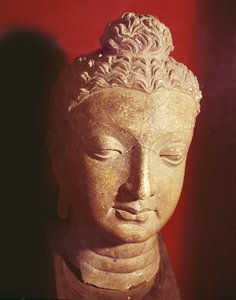 Buddhahuvud, grekisk-buddhistisk stil, från Hadda (keramik)
