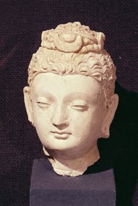 Head of a Buddha, grekisk-buddhistisk stil, från Hadda (stuckatur)