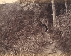 Vänster väg upp till Yuen foo kloster, ca. 1869.