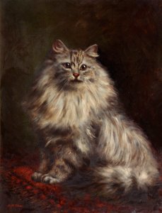 Perserkatt, ca 1908-20 av Agnes Augusta Talboys
