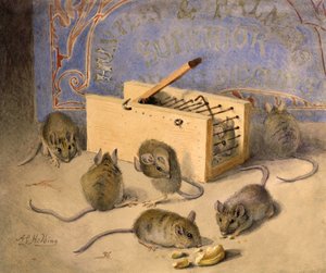 Möss och Huntley - Palmer