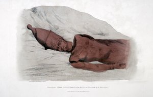 Kolossalt huvud upptäckt i ruinerna av Carnak av G Belzoni, 1820