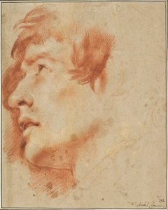 Huvud av en ung man som ser upp av Agostino Carracci