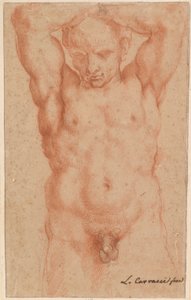 Naken man av Agostino Carracci