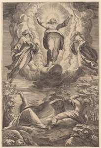 Transfigurationen