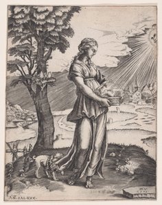 Cumaean Sibyll, daterad 1516. av Agostino Veneziano