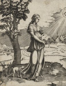 The Cumaean Sybil, 1516 (gravyr på lagt papper)