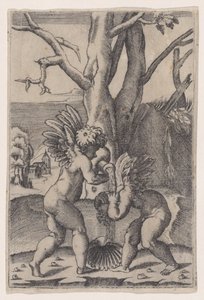 Två amoriner, ca. 1519. av Agostino Veneziano