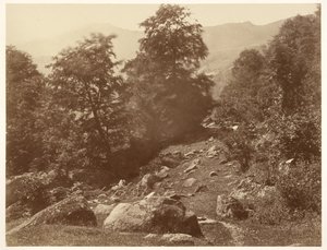 La Vallée du Lys (Coup de Vent) av Aimé Civiale