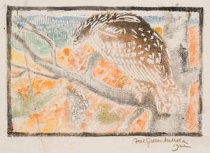 Kokko, illustration till Stor-Kalevala av Akseli Gallen-Kallela