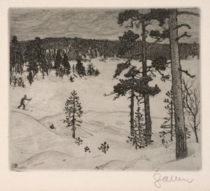 Vinters mörka slöja av Akseli Gallen-Kallela