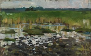 The Rushes av Akseli Gallen-Kallela