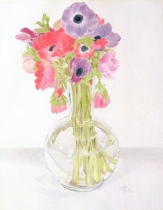 Anemonies, 1982 (färgpenna på papper)