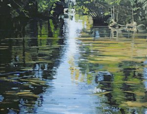 Skimrande flod, 2003