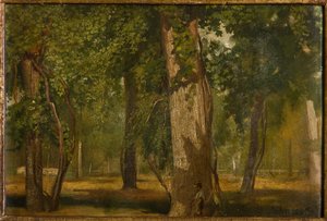 Veden (olja ombord) av Albano Lugli Carpi