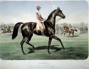 Racing: "" Suzerain, vinnare av Chantilly-derbyt 1868"" Litografi av Albert Adam (1833-?) Privat samling