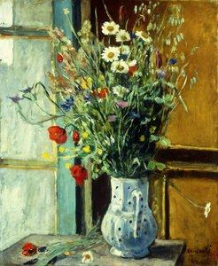 Vildblommor; Fleurs des Champs