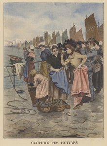 Skördar ostron i Cancale, Bretagne av Albert Besnou