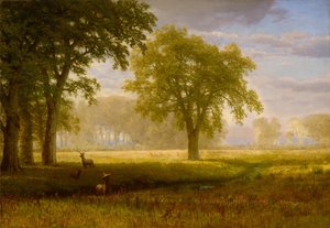 Älg i Oak Grove (Tuolumne Meadows) av Albert Bierstadt