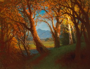 Solnedgång i Nebraska-territoriet av Albert Bierstadt