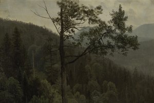 Trädklädda berg av Albert Bierstadt