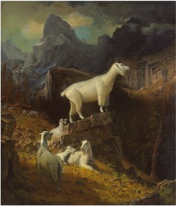 Okänd bild av Albert Bierstadt