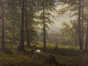 Utsikt till en clearing av Albert Bierstadt