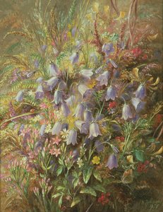 Harebells och andra skogsblommor och gräs av Albert Durer Lucas