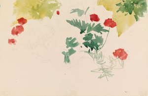 Pelargoner av Albert Edelfelt