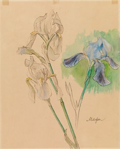Irisar av Albert Edelfelt