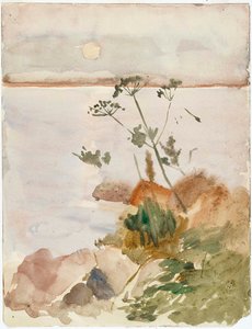 Havskust i månsken av Albert Edelfelt