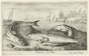 Tre fläckiga vivers på stranden Araneus. Livet. (titel på objekt) Fiskar och andra havsdjur - saltvattens andra serie (serietitel) Poissons de mer (serietitel) av Albert Flamen