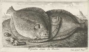 Tre ungar på stranden Rhombus Laeuis La Barbuë (titel på objekt) Fiskar och andra havsdjur - saltvatten tredje serie (serietitel) Poissons de mer (serietitel) av Albert Flamen
