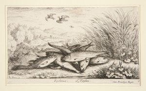 Epelanus, L av Albert Flamen