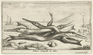 Fast på stranden Admos. Lesguille de Mer. (titel på objekt) Fiskar och andra havsdjur - saltvatten tredje serie (serietitel) Poissons de mer (serietitel) av Albert Flamen