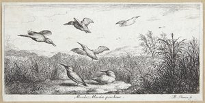 Kungsfiskaren (Alcedo) av Albert Flamen