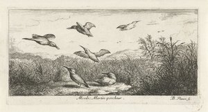 Landskap med kungsfiskare alcedo; Martin-pecrack. (titel på objekt) Fågelbok (serietitel) Livre d