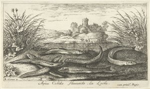 Loaches på en flodstrand Apua Cobitis fluuitilis. LaLoche. (titel på objekt) Fiskar och andra havsdjur - sötvattens andra serie (serietitel) Seconde partie de Poissons d