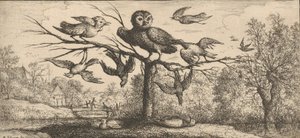Monedula, Chouëtte Uggla: Livre d